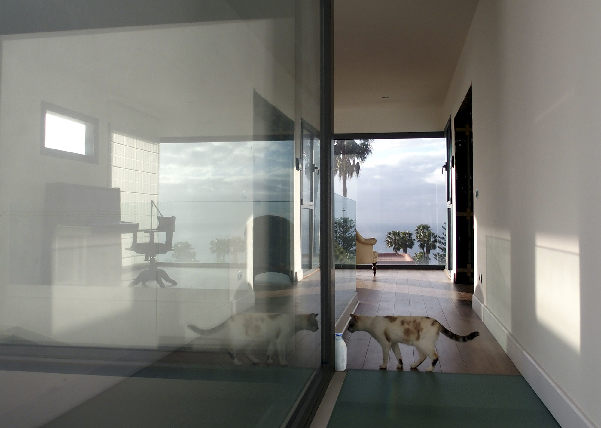 CITAE Arquitectura Tenerife 1